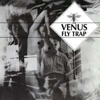 The Venus Fly Trap - Morphine