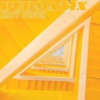 Dubmatix - Heavy Stepper
