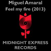 Miguel Amaral - Feel my fire 2013