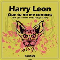 Harry Leon - Que tu no me conoces