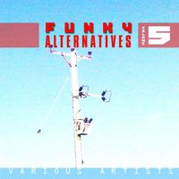 Various Artists - Funky Alternatives Vol.5
