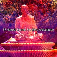 Brain Study Music Guys - 57 Natural Sounds For Mind Articulation