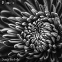 Denis Turbide - Bloom