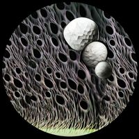 Rethe - Inward Expansion