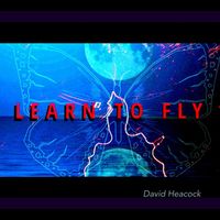 David Heacock - Learn to Fly