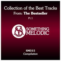 The Bestseller - Collection of the Best Tracks From: The Bestseller, Pt. 1