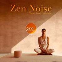 Stefan Zintel - Zen Noise (Static Noise Collection)