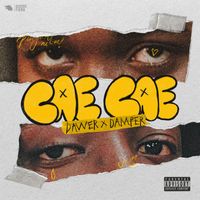 Dawer X Damper - CAE CAE (Explicit)
