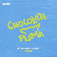 Chocolate Puma feat. Colonel Red - Destiny