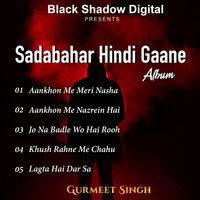 Gurmeet Singh - Sadabahar Hindi Gaane