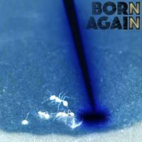 Born Again - Sunshine Isn't for Everyone
