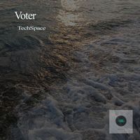 Voter - TechSpace