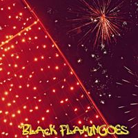 George Pauley - Black Flamingoes