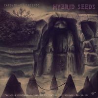 Cardamohm - Hybrid Seeds