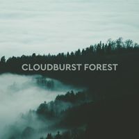 Cloudburst Forest - Forest Ambiance