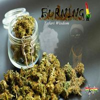 Tafari Wisdom - Burning