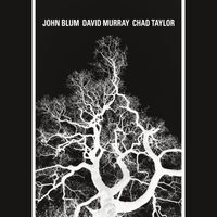 John Blum, David Murray & Chad Taylor - The Recursive Tree