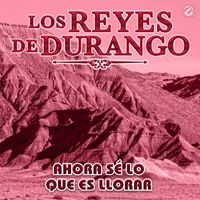 Los Reyes De Durango - Ahora Sé Lo Que Es Llorar