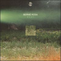 Bernie Rosa - Near