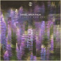 Daniel Bror Palm - And There Was You