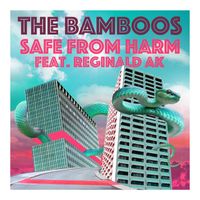 The Bamboos - Safe From Harm (feat. Reginald AK)