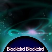 Blackbird Blackbird - Outer Space