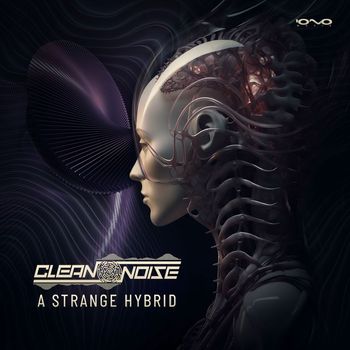 Clean Noise - A Strange Hybrid