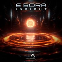 e Bora - Insight