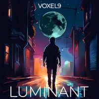 Voxel9 - Luminant