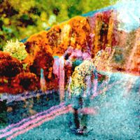 Swanky - Boardsmith Fish