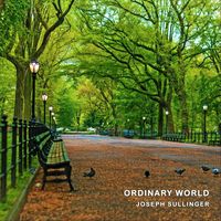 Joseph Sullinger - Ordinary World (Instrumental)