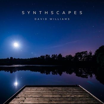 David Williams - Synthscapes