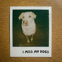 Poe - I Miss My Dogs