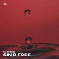 Dj Dobrel - Sin B Free
