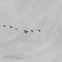 Gardenia - Meadow of Heaven (Live Acoustic)