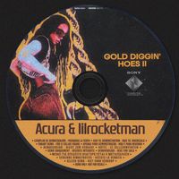 DJ Acura - GOLD DIGGIN' HOES 2 (Explicit)