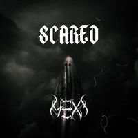 H3XI - SCARED