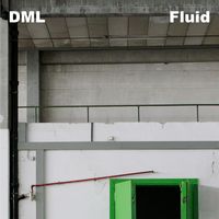 DML - Fluid