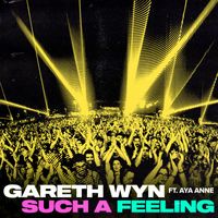 Gareth Wyn - Such A Feeling (feat. Aya Anne)