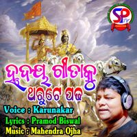 Karunakar - Hrudaya Gita Ku Tharute Padha