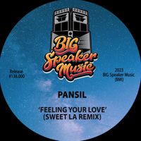 Pansil - Feeling Your Love (Sweet LA Remix)