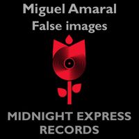 Miguel Amaral - False images