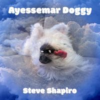 Steve Shapiro - Ayessemar Doggy