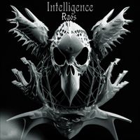 Raos - Intelligence