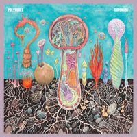 Polypores - Shpongos