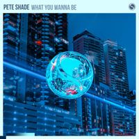 Pete Shade - What You Wanna Be