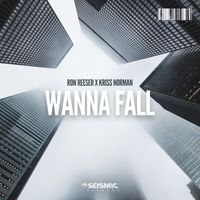 Ron Reeser & Kriss Norman - Wanna Fall (Extended Mix)