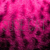 Susie - Cat