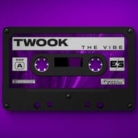 Twook - The Vibe