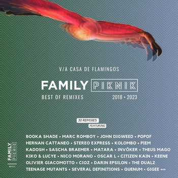 Various Artists - 5 YEARS OF REMIXES - BEST OF FAMILY PIKNIK MUSIC
